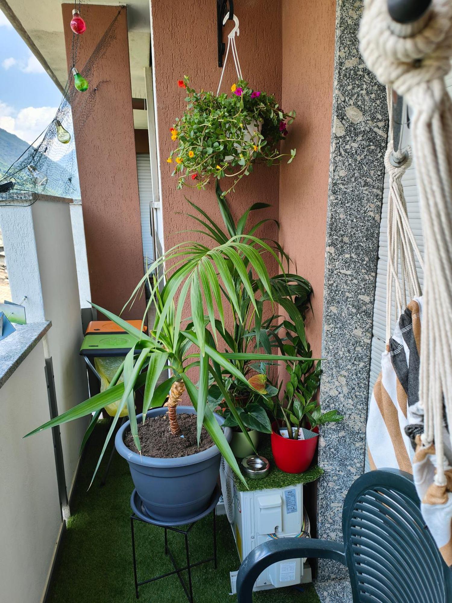 Alfiume B Apartamento Tirano Exterior foto